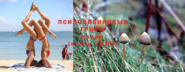 молекула духа Баксан